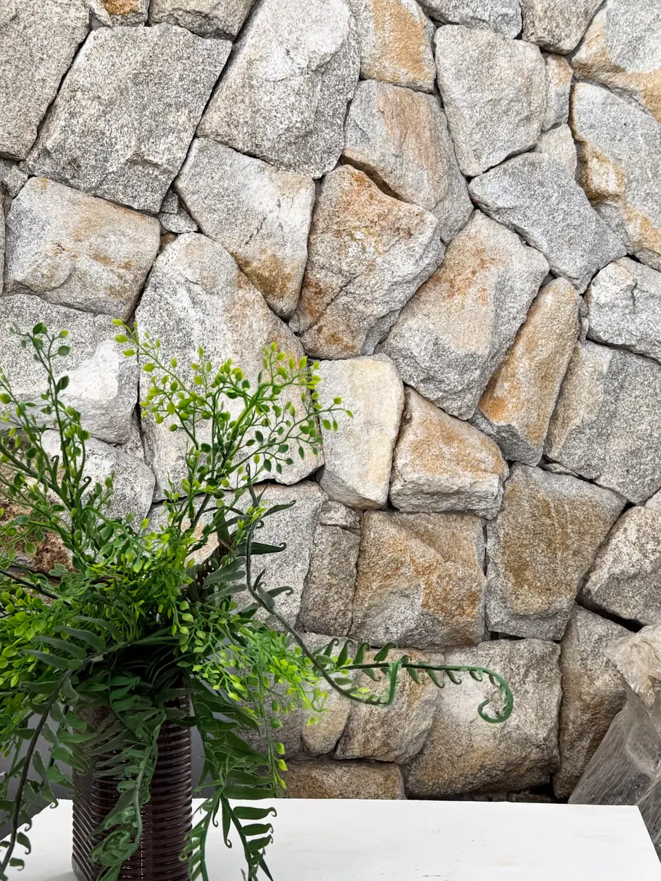 Moledo Champagne em muro com vegetação à frente
